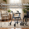 Cane, Walker, Rollator 