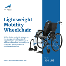 wheelchair strongback blue