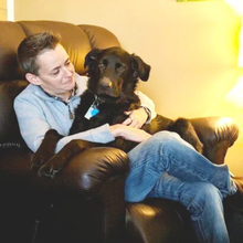 golden reclining lift 